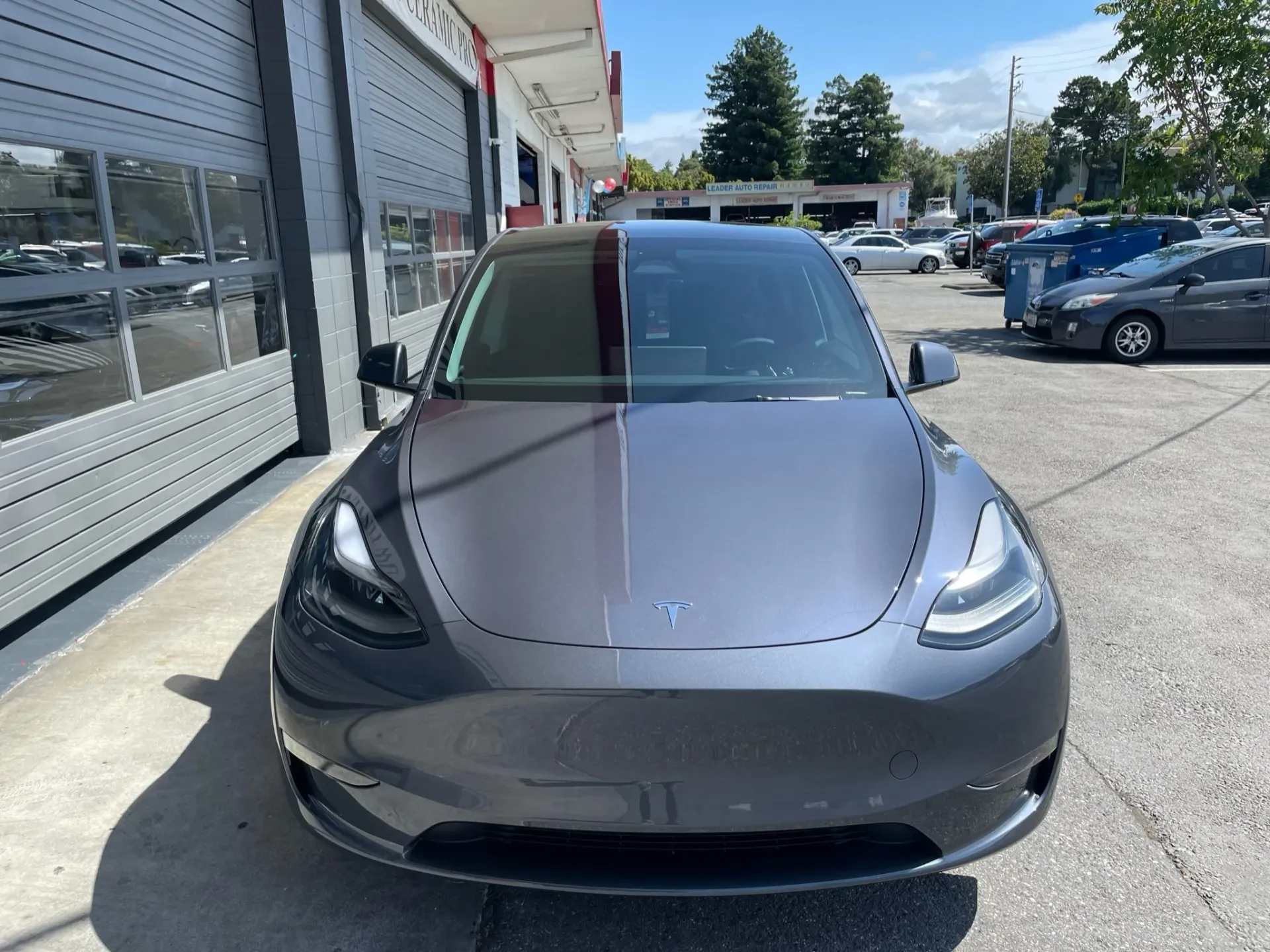Freshly tinted vehicle windows